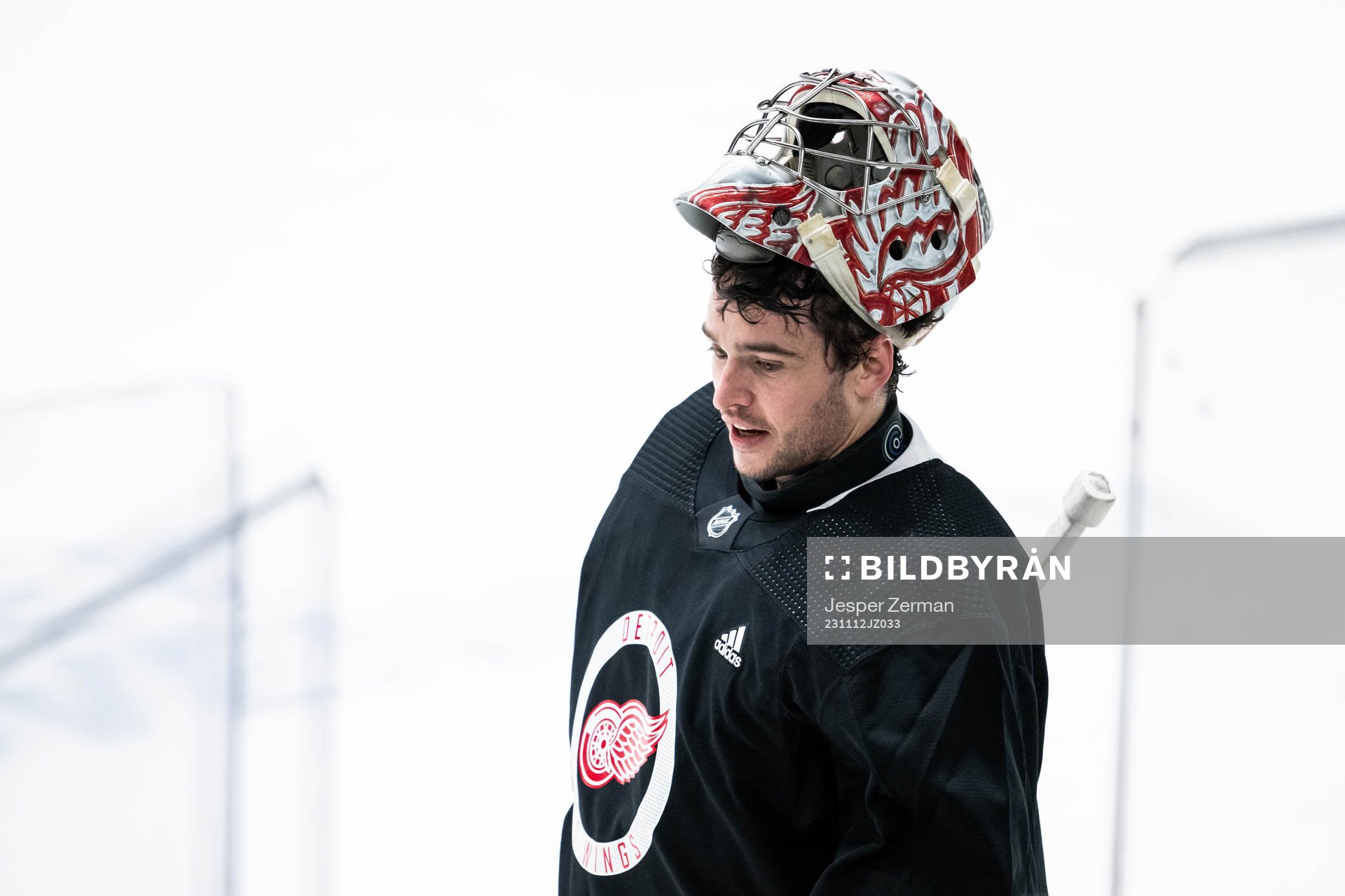 goalkeeper Alex Lyon of Detroit Red Wings