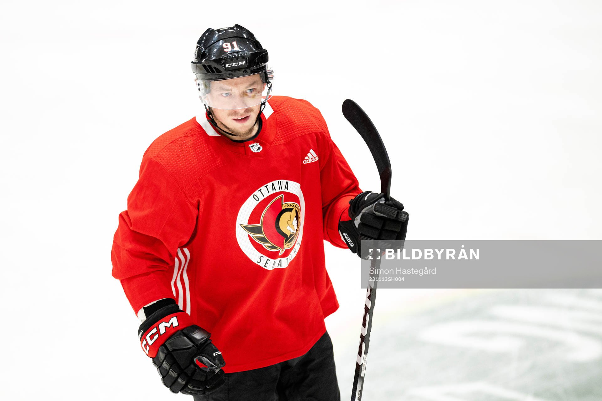 Vladimir Tarasenko