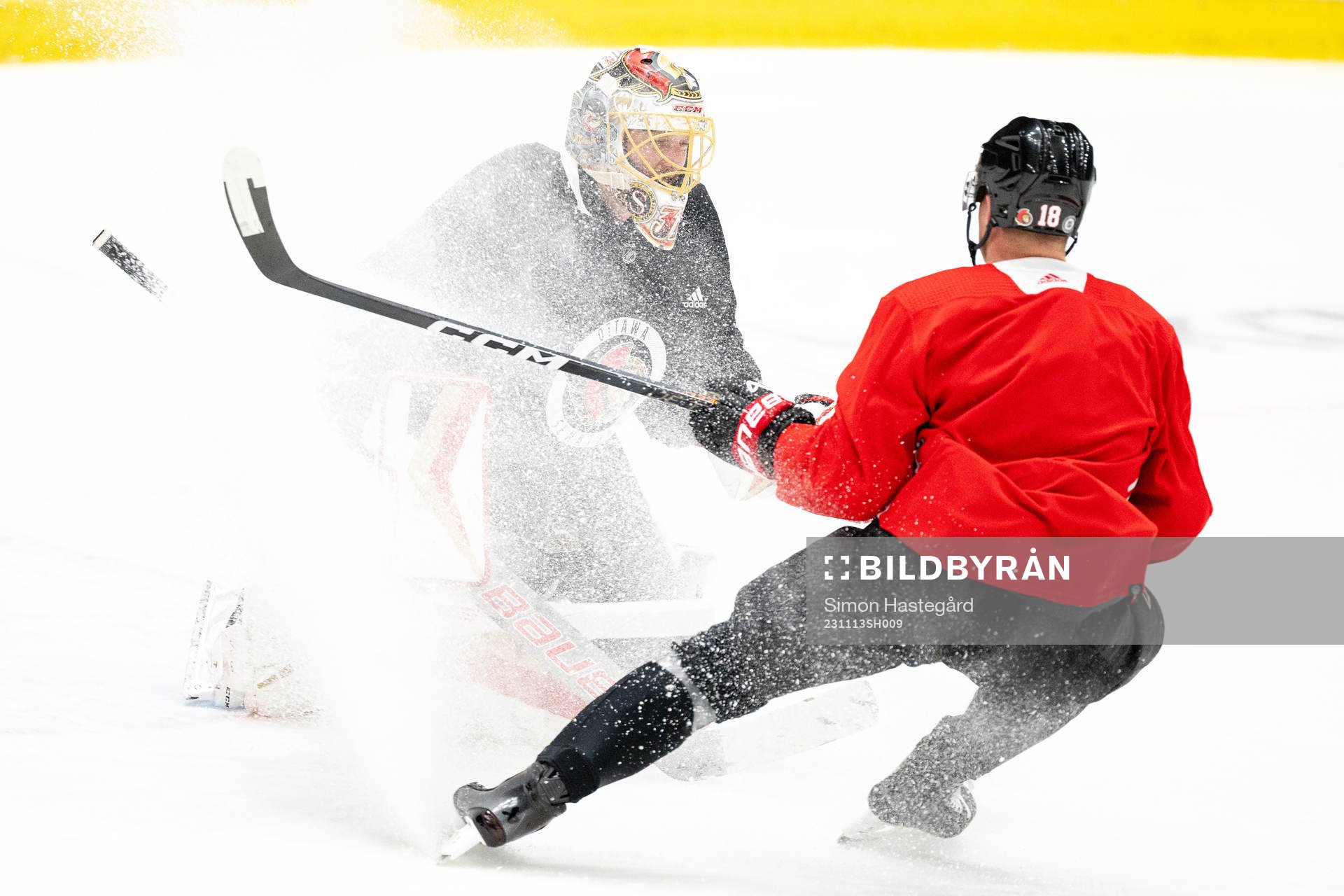 Goaltender Anton Forsberg and Tim Stützle of Ottawa
