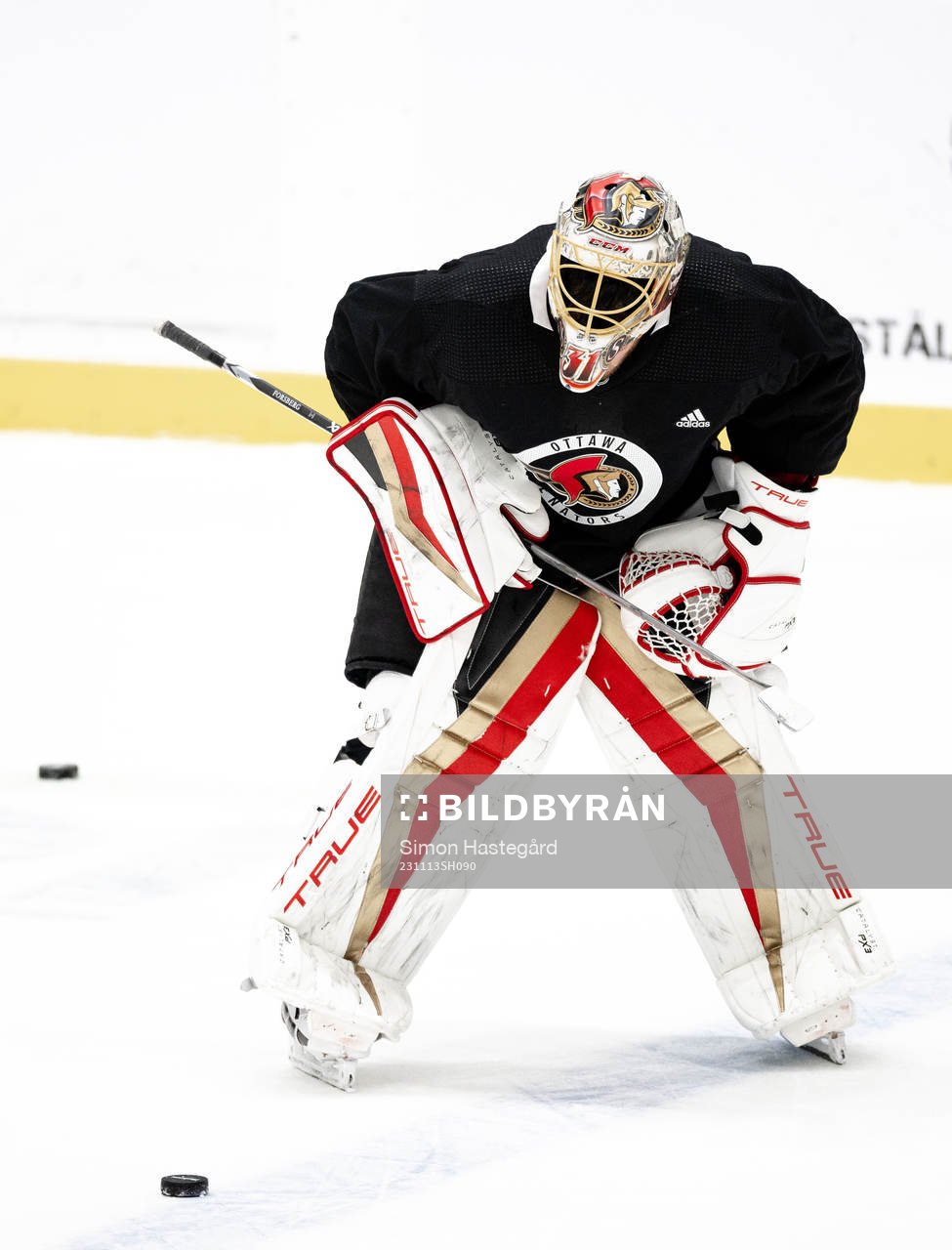 Goaltender Anton Forsberg