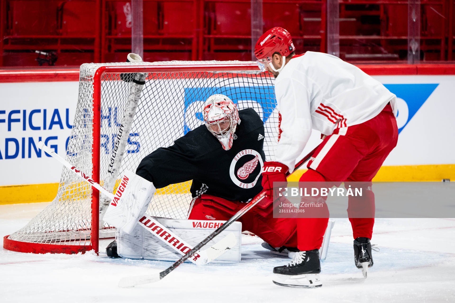 Goaltender Alex Lyon of Detroit Red Wings
