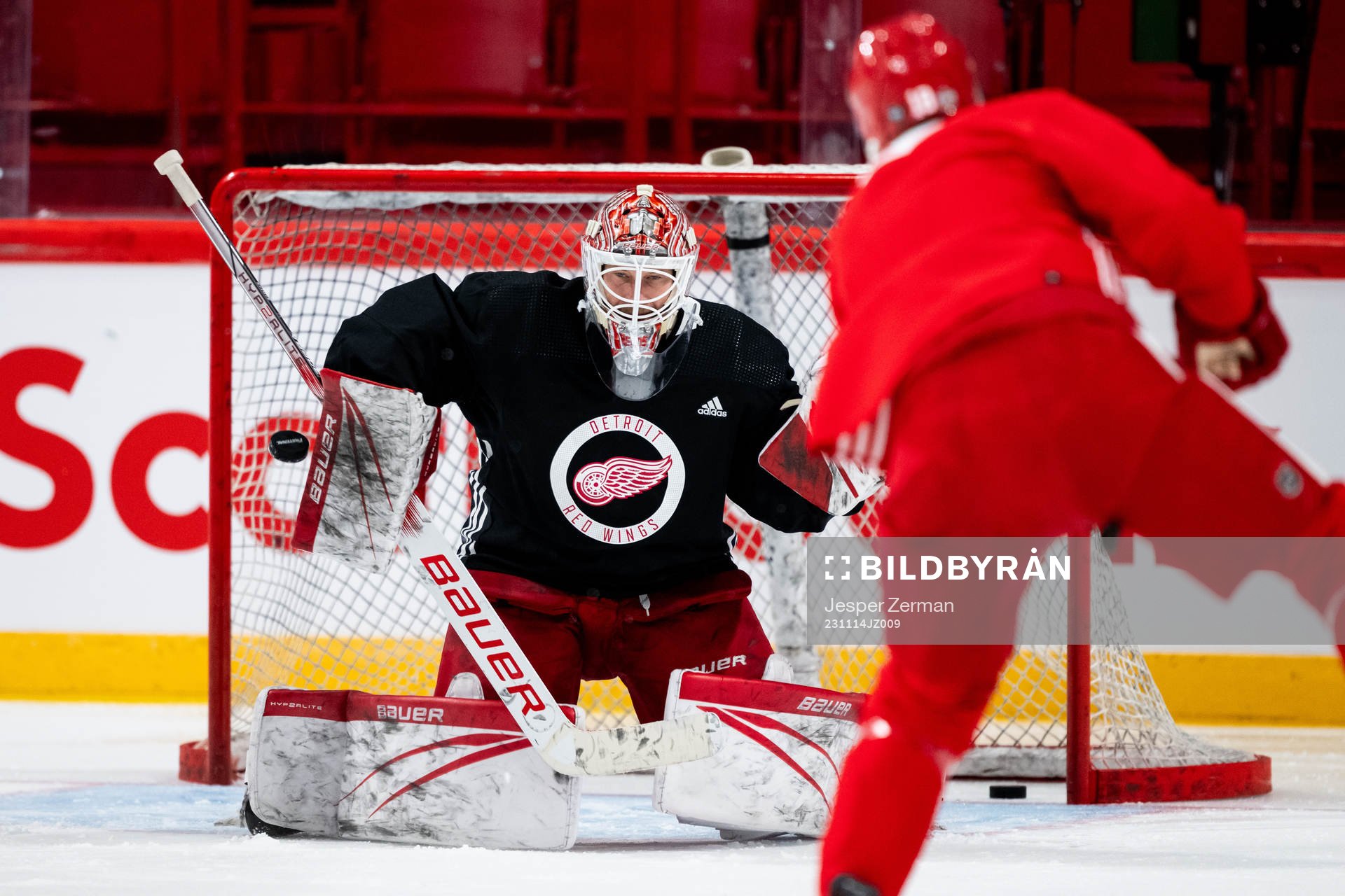 goalkeeper James Reimer of Detroit Red Wings