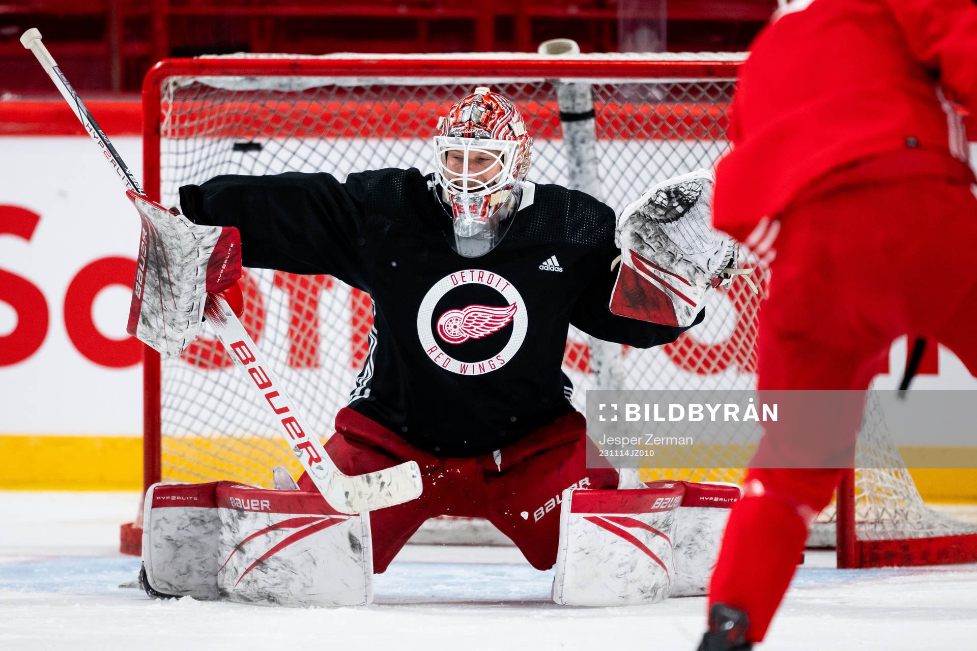 goalkeeper James Reimer of Detroit Red Wings