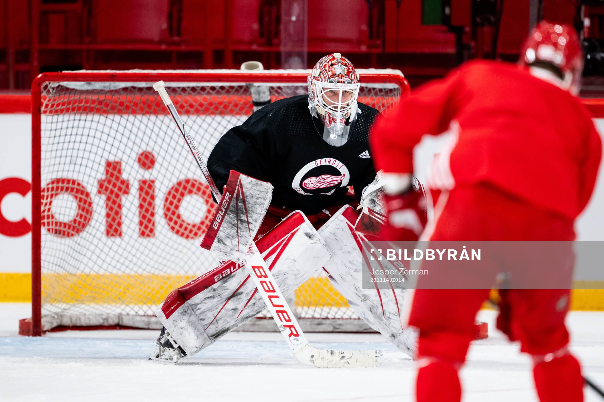 goalkeeper James Reimer of Detroit Red Wings