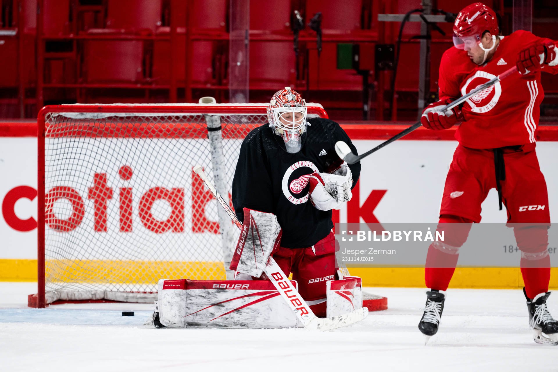 goalkeeper James Reimer of Detroit Red Wings