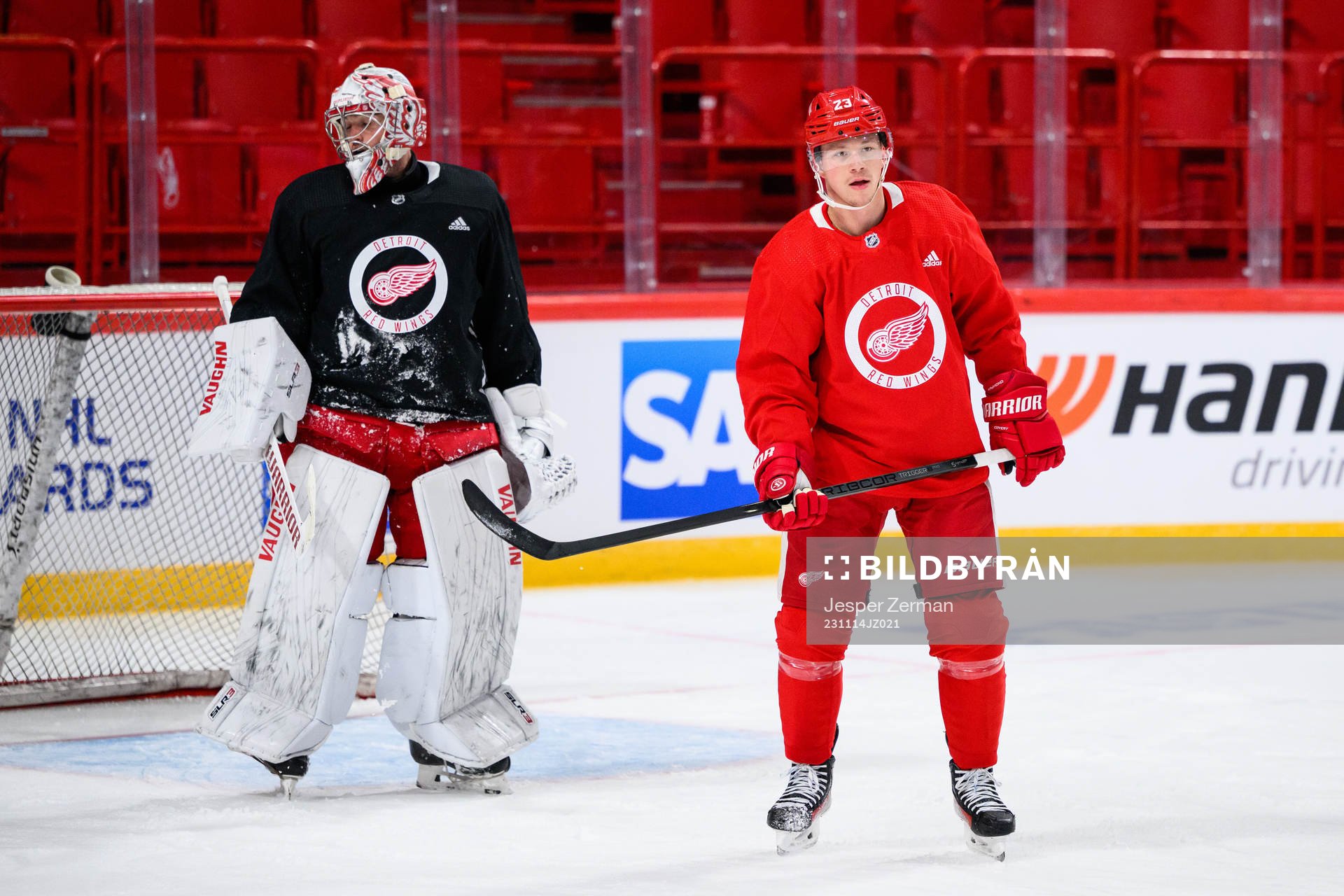 goalkeeper Alex Lyon and Lucas Raymond of Detroit Red Wings