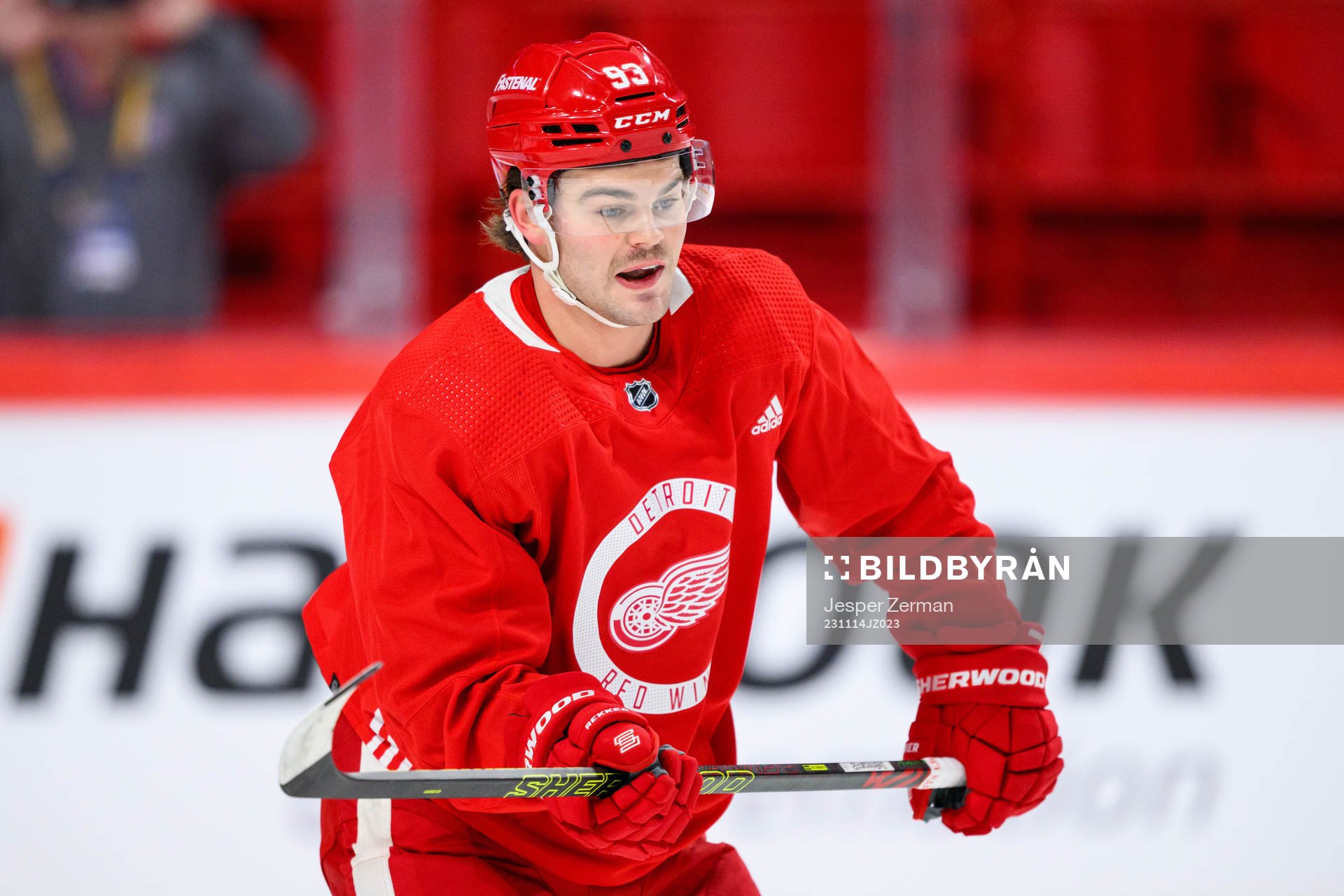 Alex DeBrincat of Detroit Red Wings