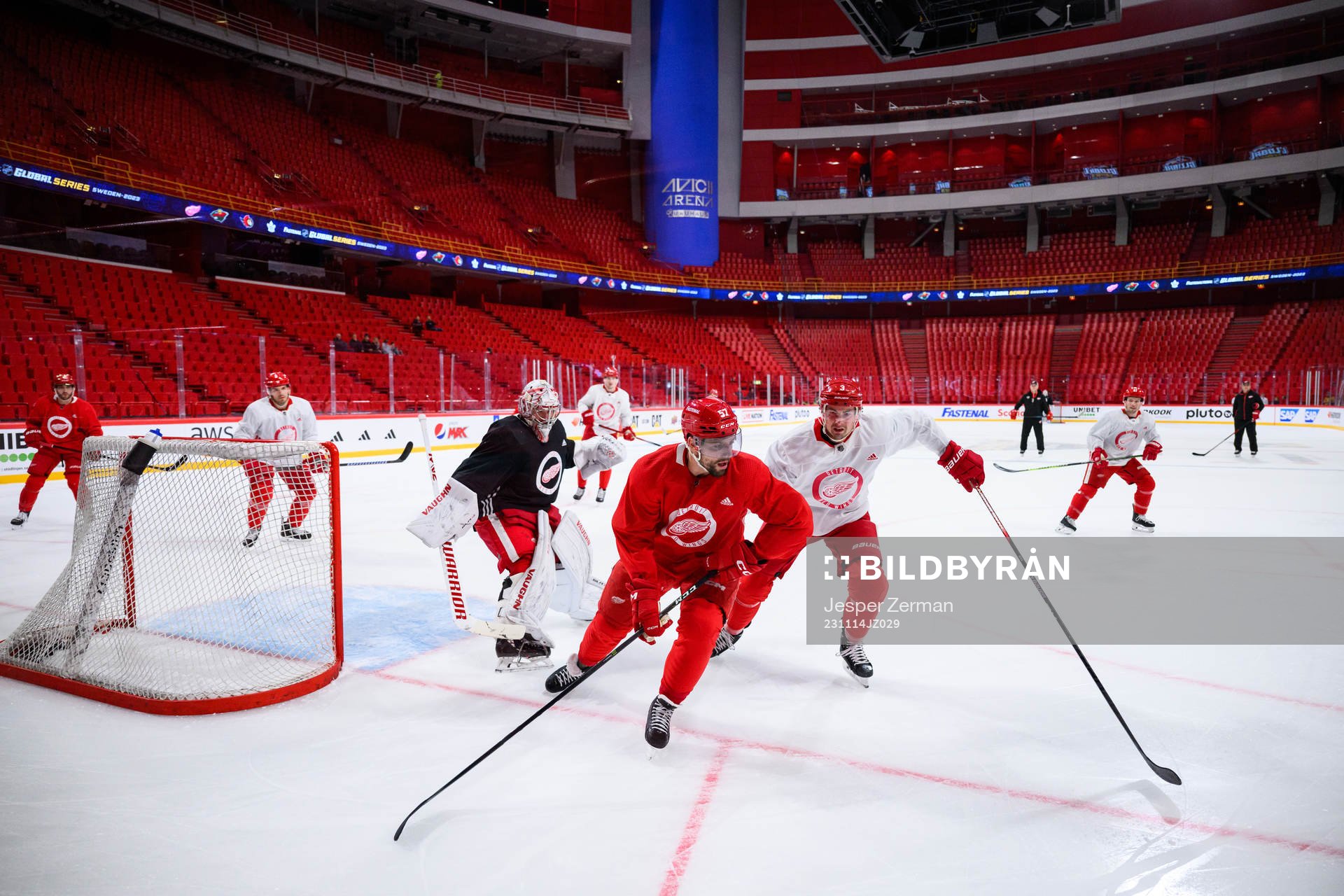 David Perron and Justin Holl of Detroit Red Wings