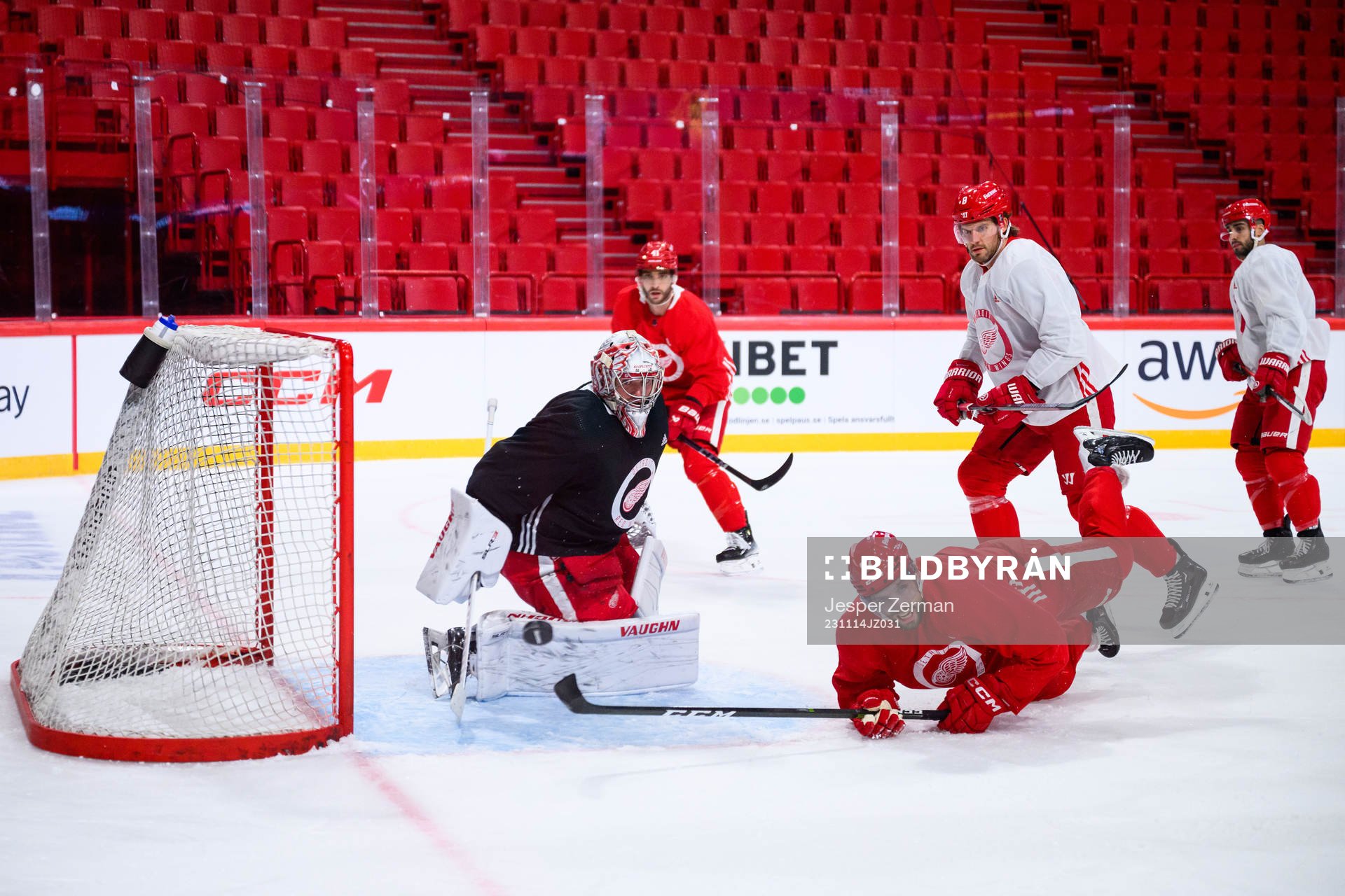 goalkeeper Alex Lyon and David Perron of Detroit Red Wings