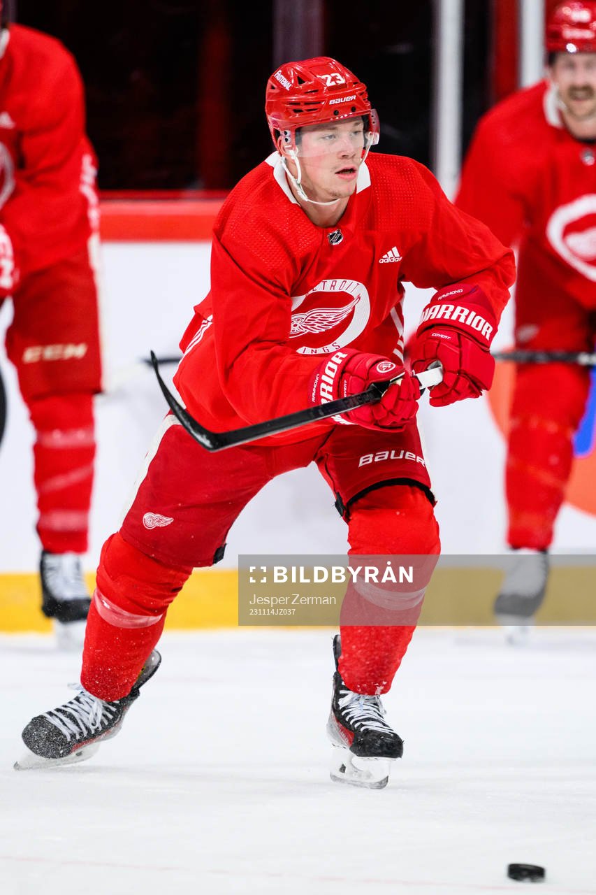 Lucas Raymond of Detroit Red Wings