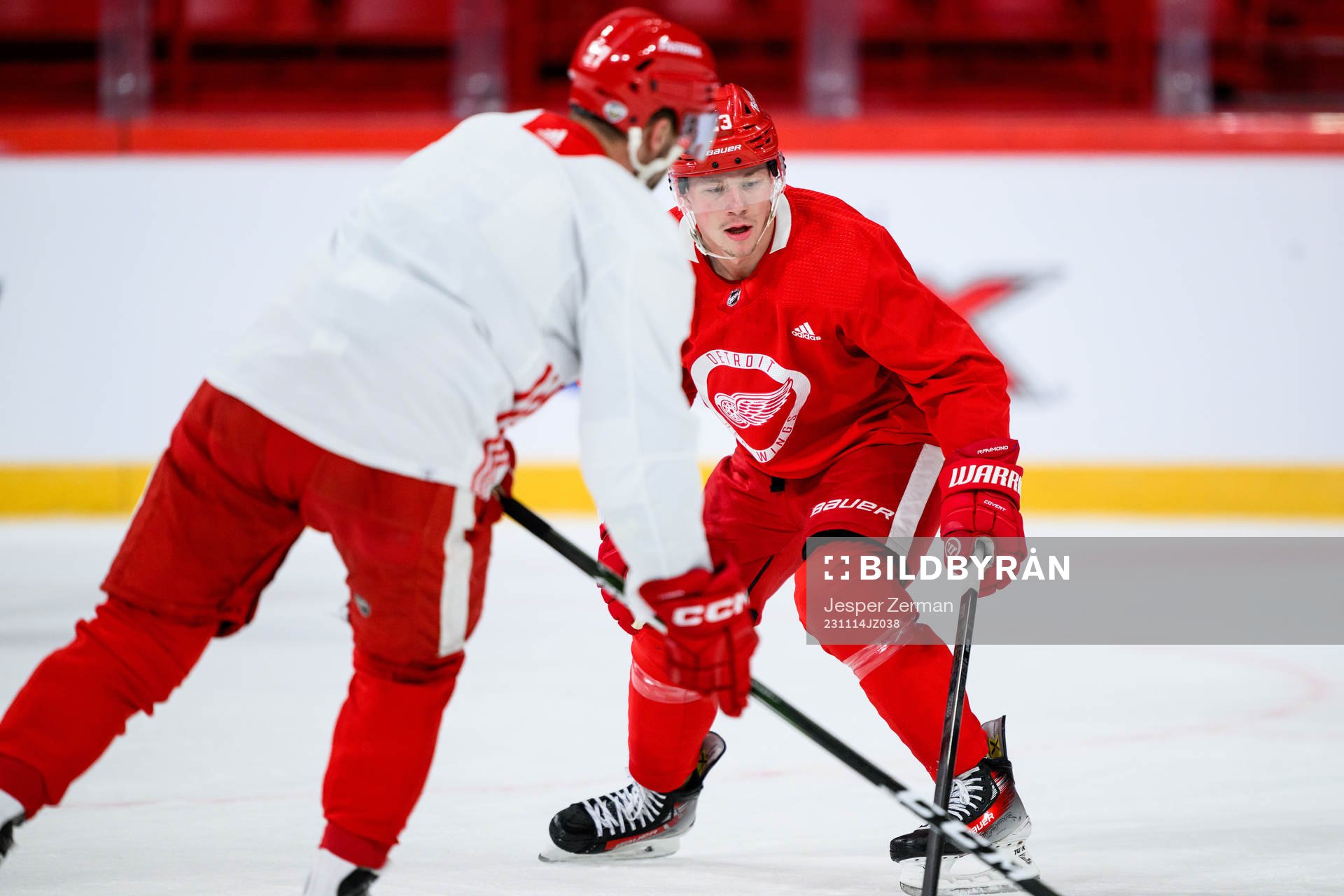 Lucas Raymond of Detroit Red Wings