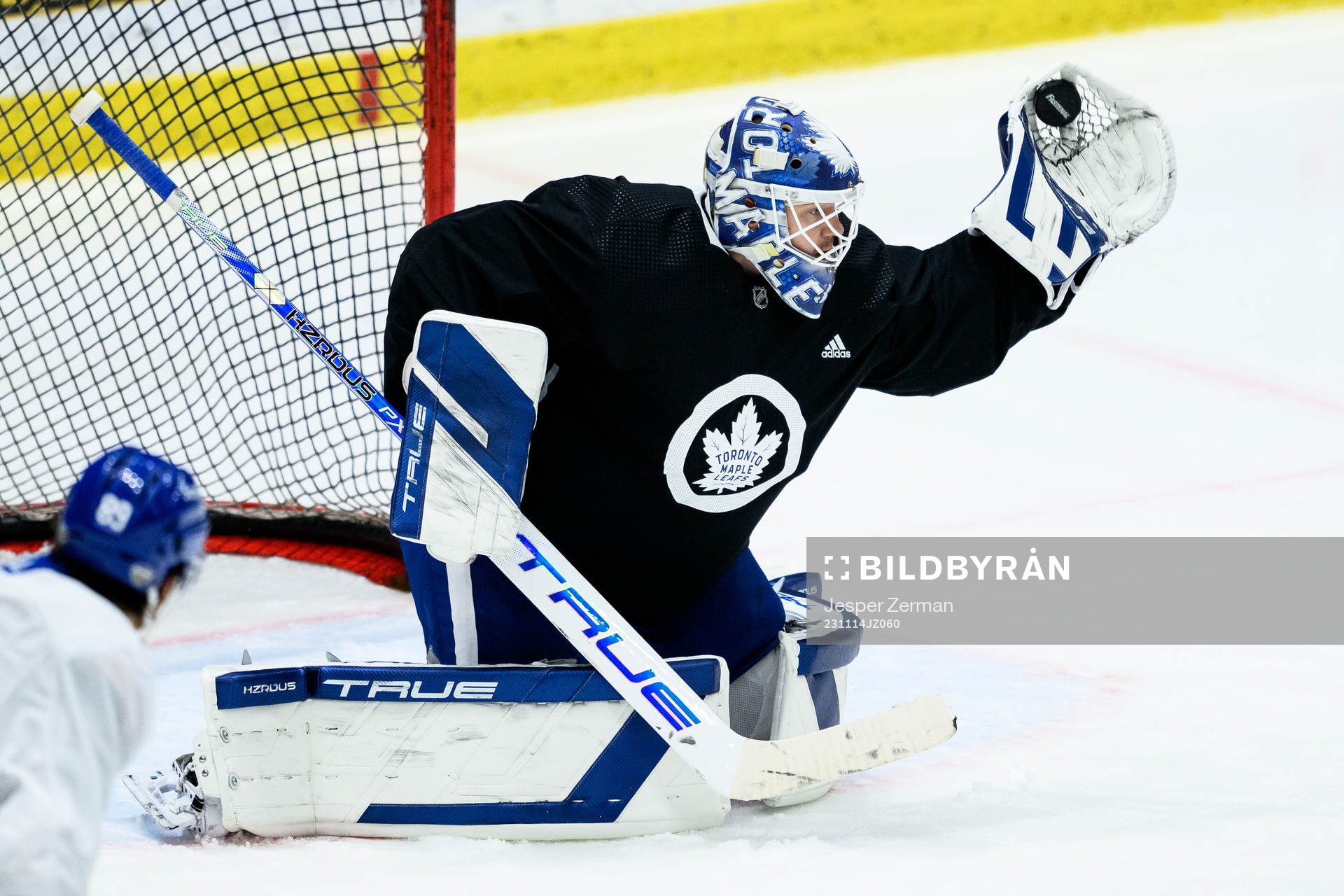 goalkeeper Ilya Samsonov of Toronto Maple Leafs