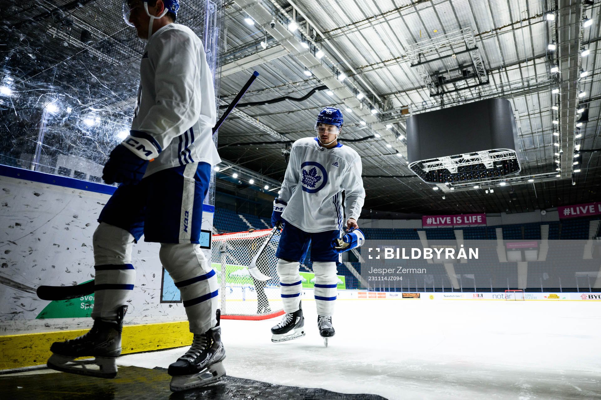 Nicholas Robertson of Toronto Maple Leafs