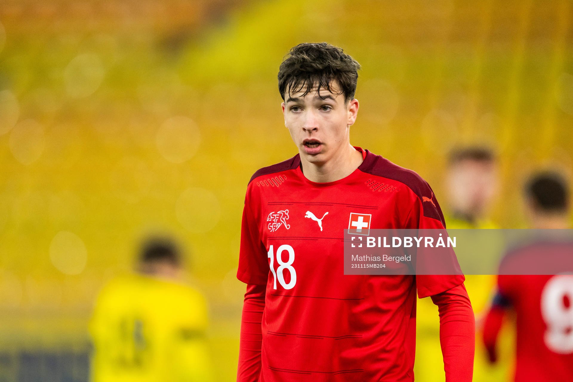 Schweiz Sebastian Walker
