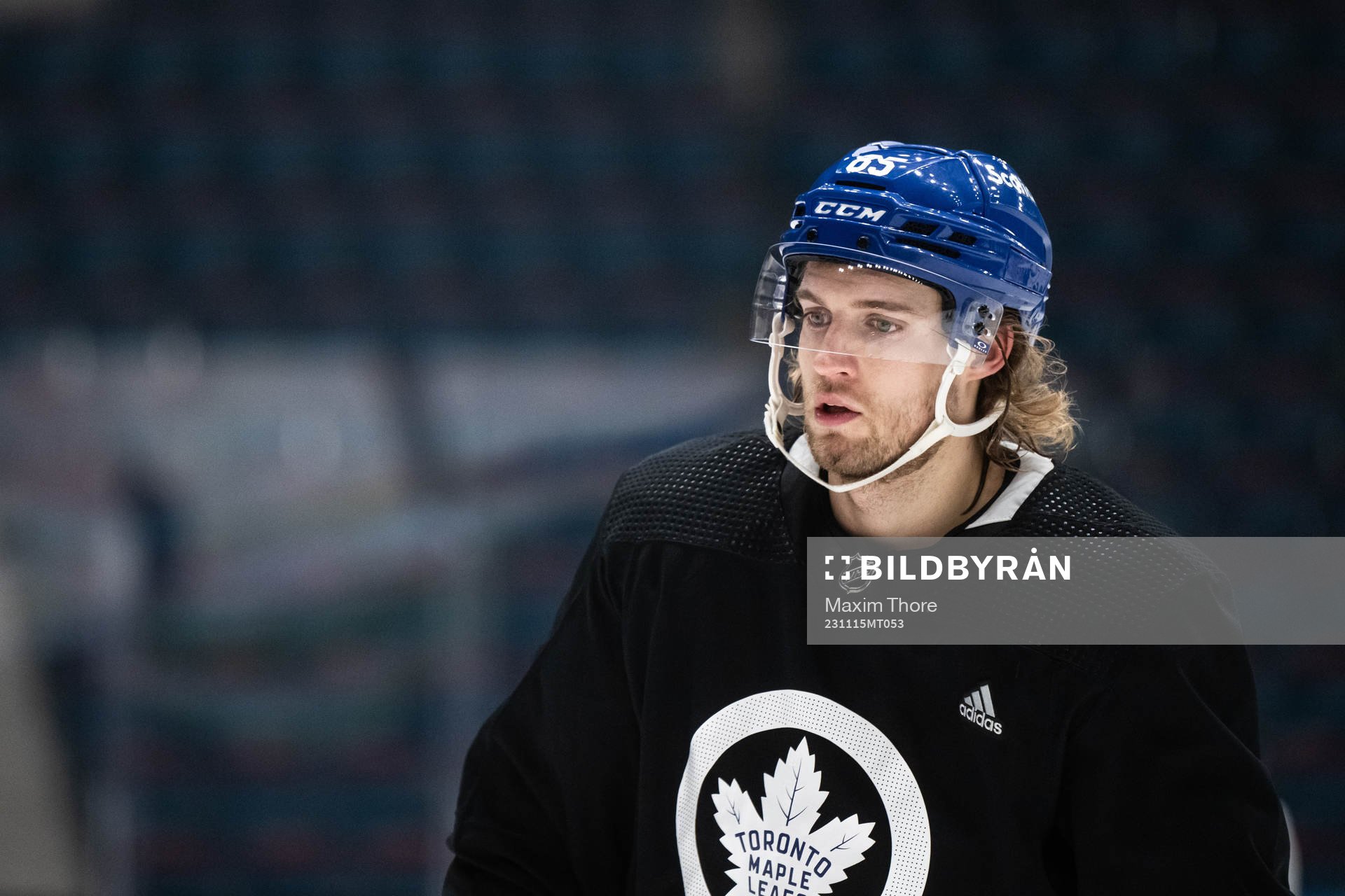 William Lagesson of Toronto Maple Leafs