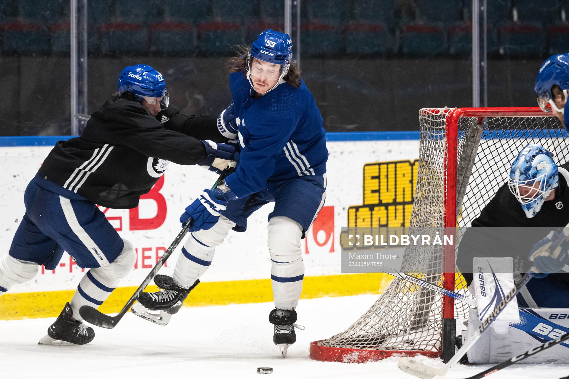 Tyler Bertuzzi of Toronto Maple Leafs