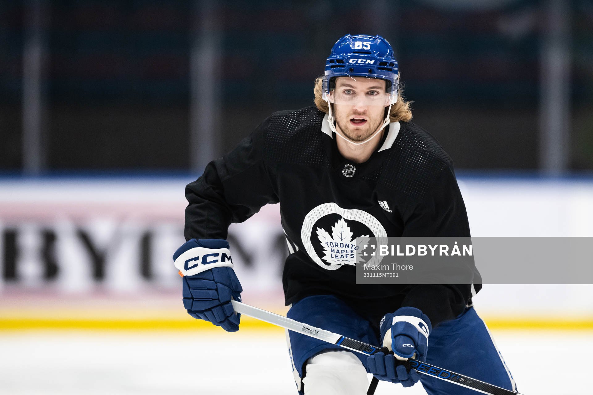 William Lagesson of Toronto Maple Leafs