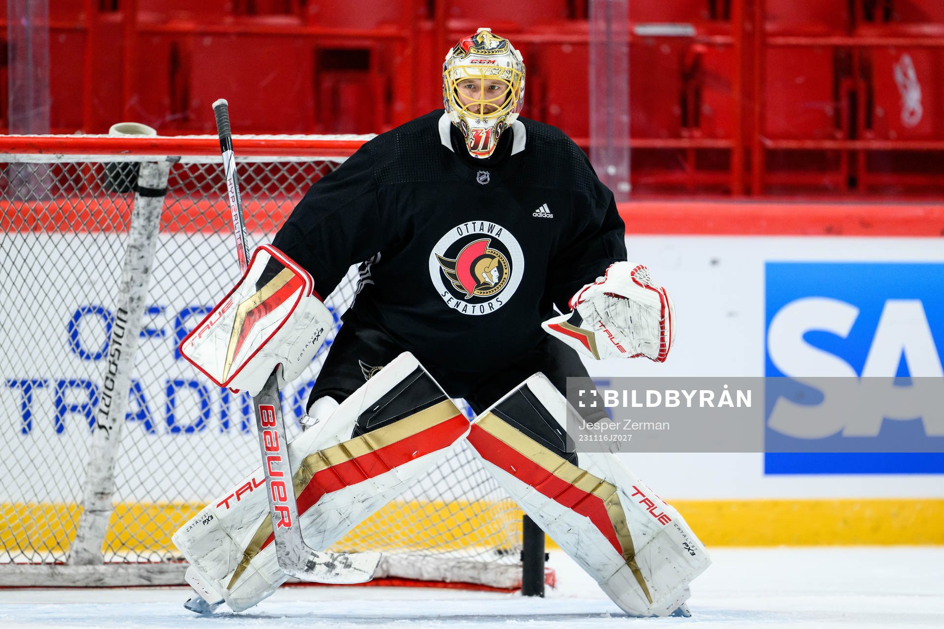 goalkeeper Anton Forsberg of Ottawa Senators