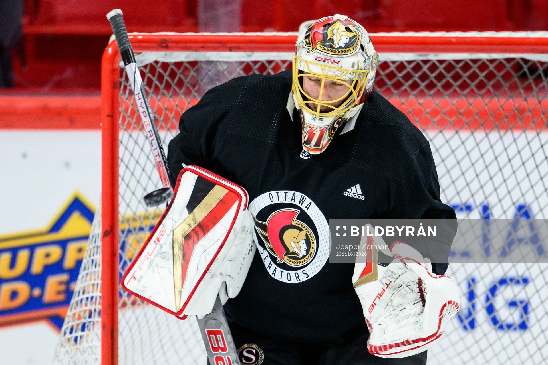 goalkeeper Anton Forsberg of Ottawa Senators