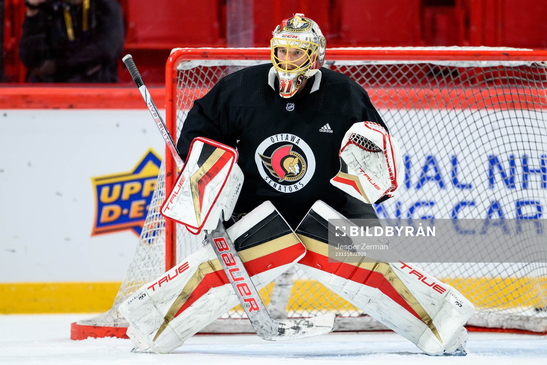 goalkeeper Anton Forsberg of Ottawa Senators
