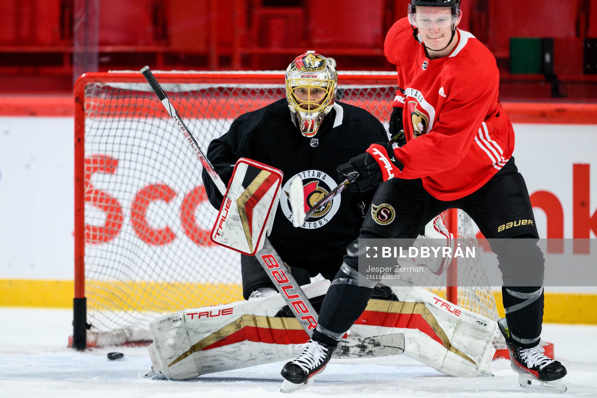 goalkeeper Anton Forsberg of Ottawa Senators