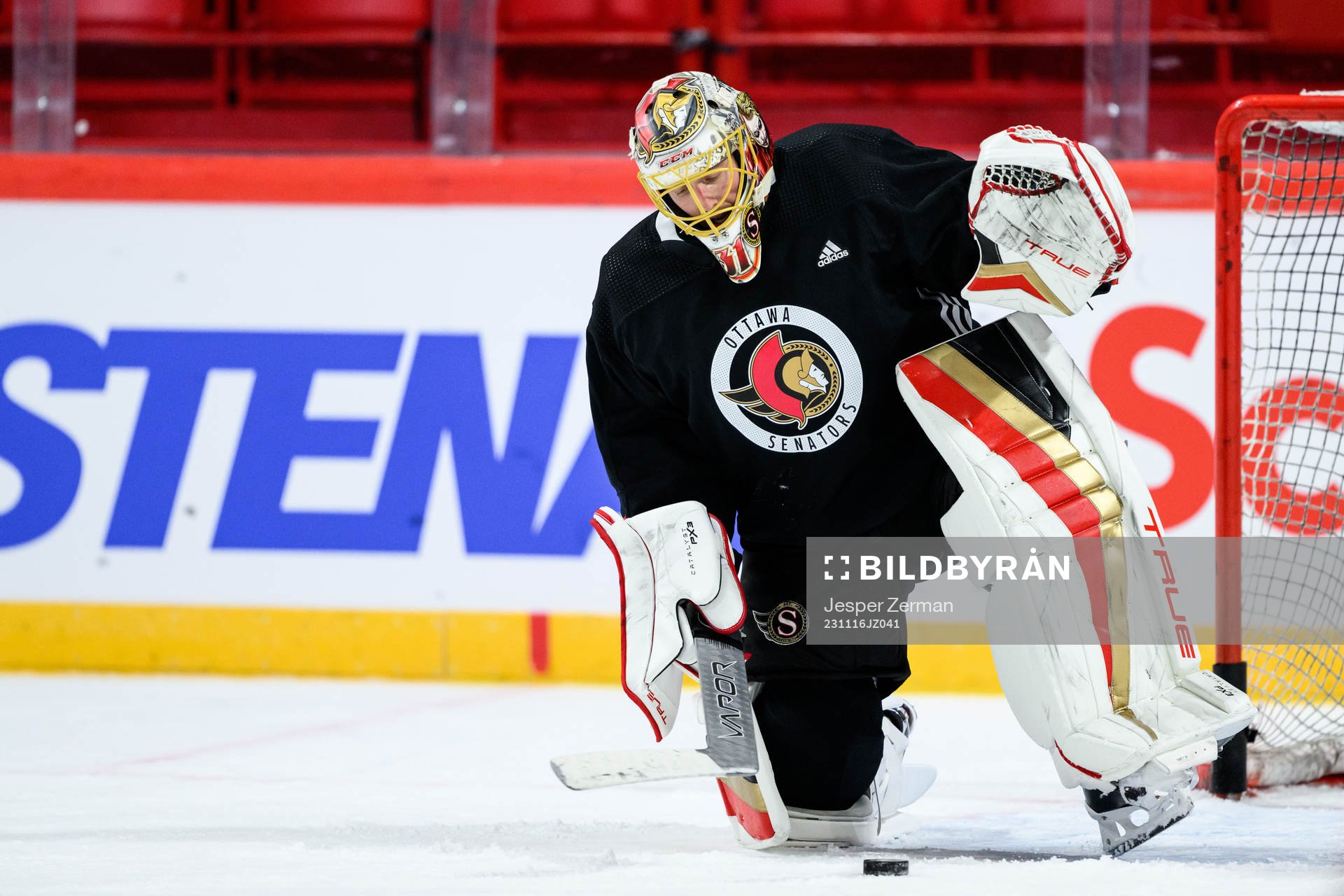 goalkeeper Anton Forsberg of Ottawa Senators