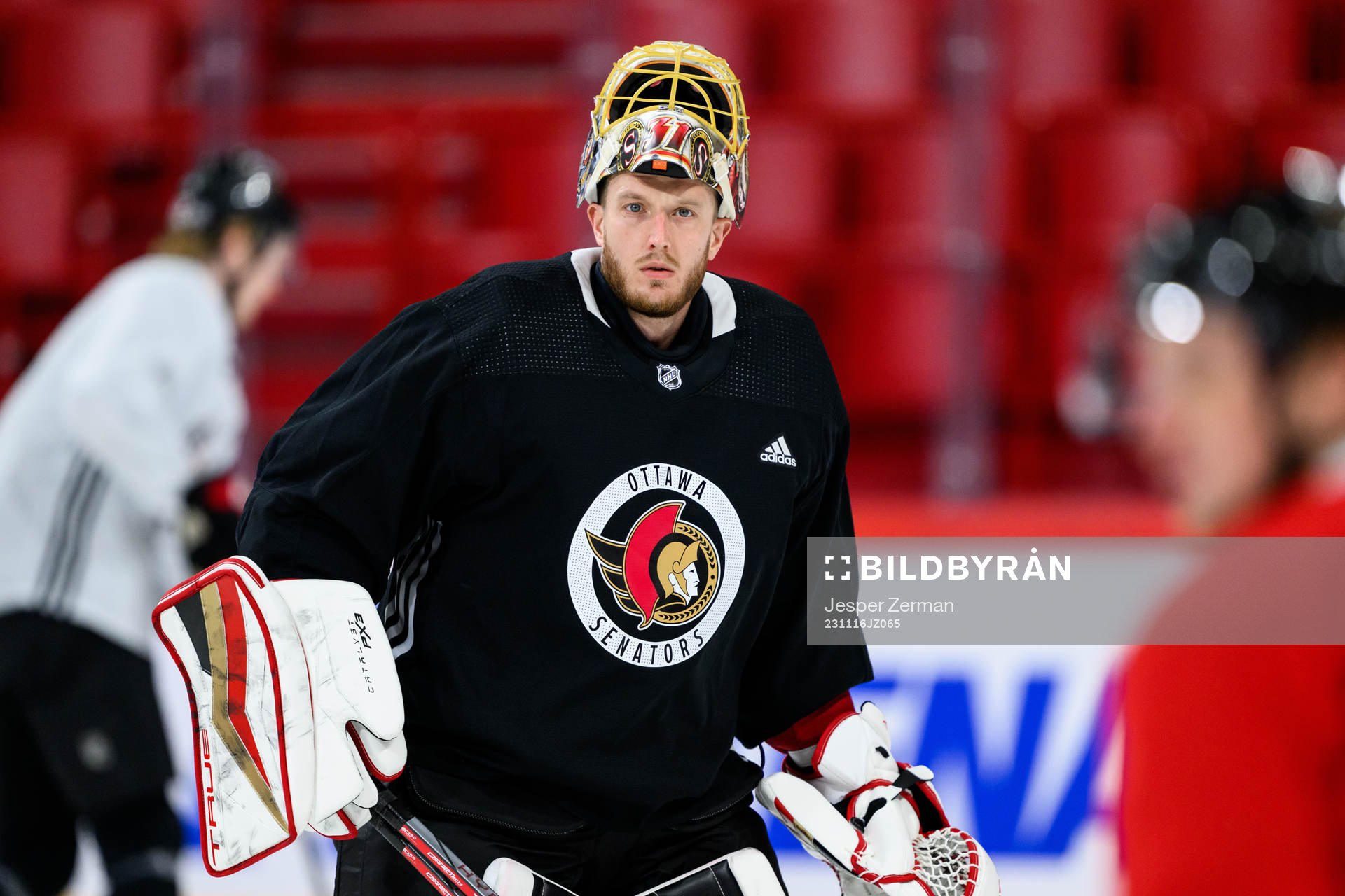 goalkeeper Anton Forsberg of Ottawa Senators
