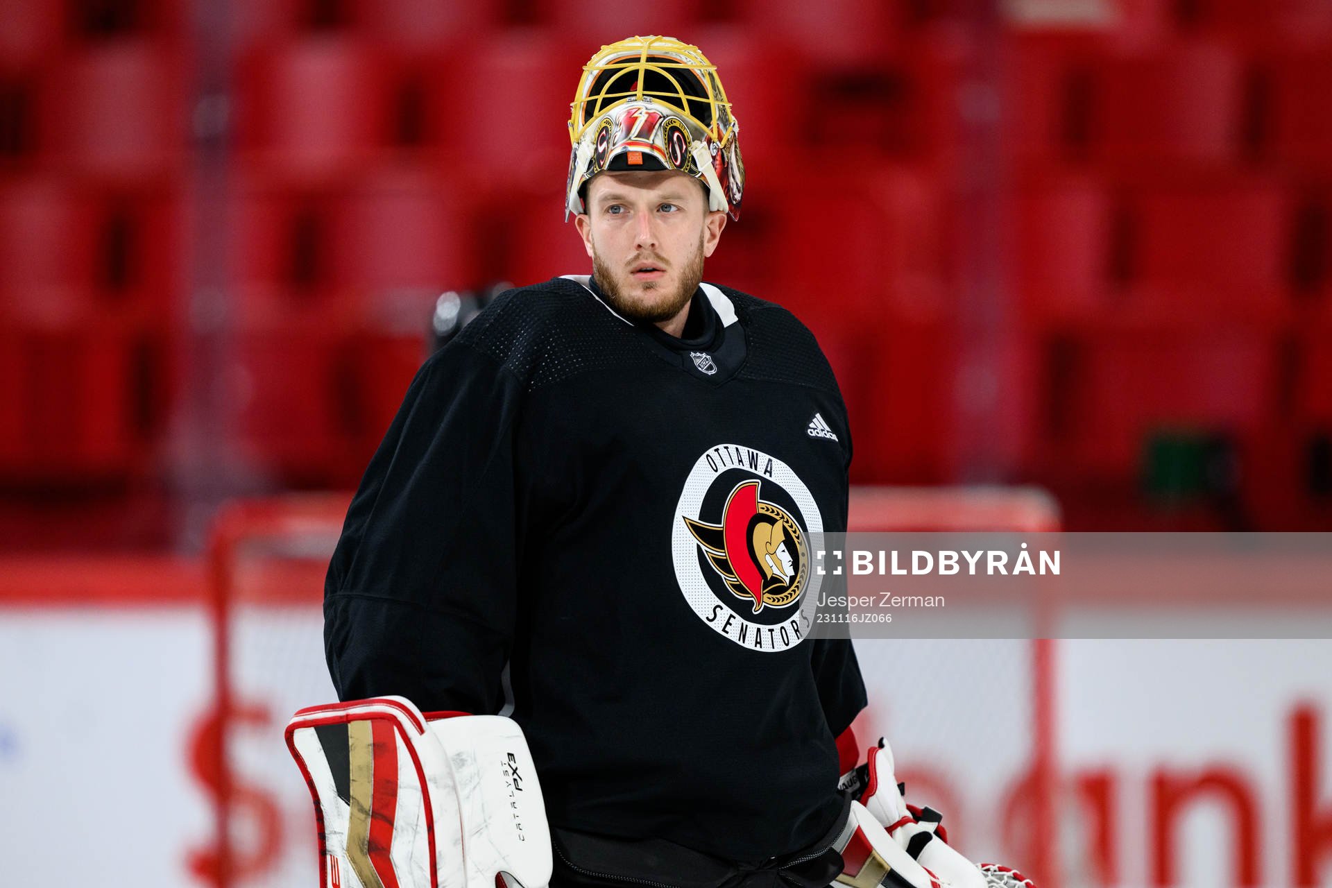 goalkeeper Anton Forsberg of Ottawa Senators