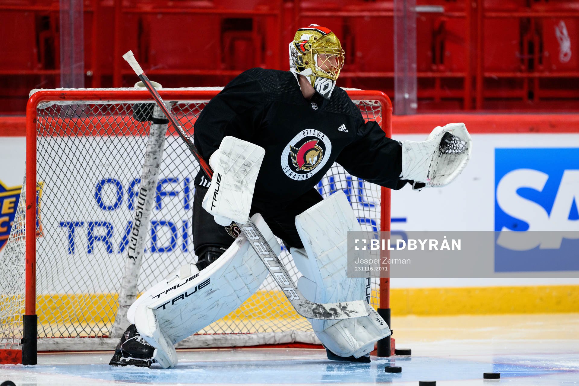 goalkeeper Anton Forsberg of Ottawa Senators