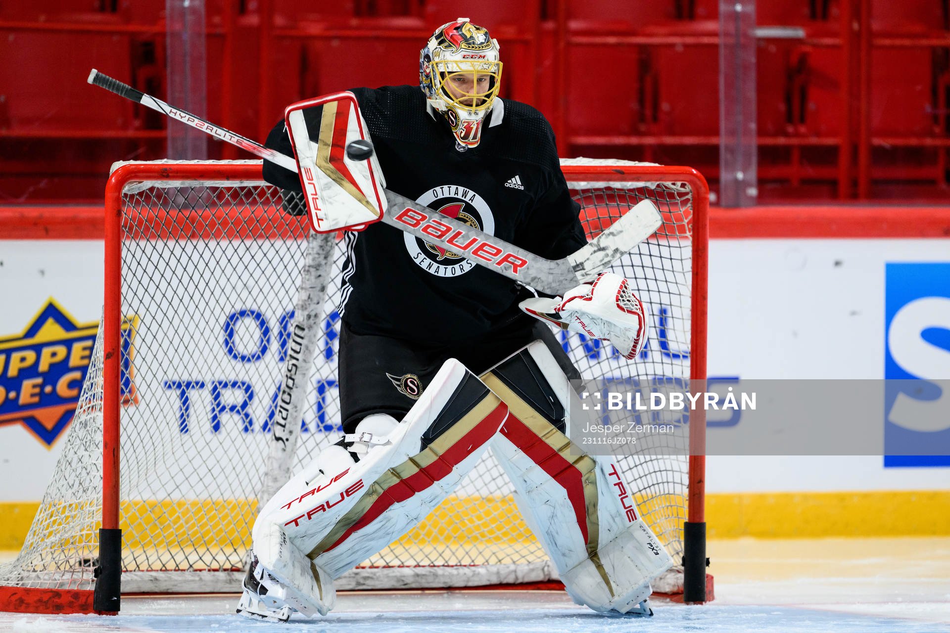 goalkeeper Anton Forsberg of Ottawa Senators