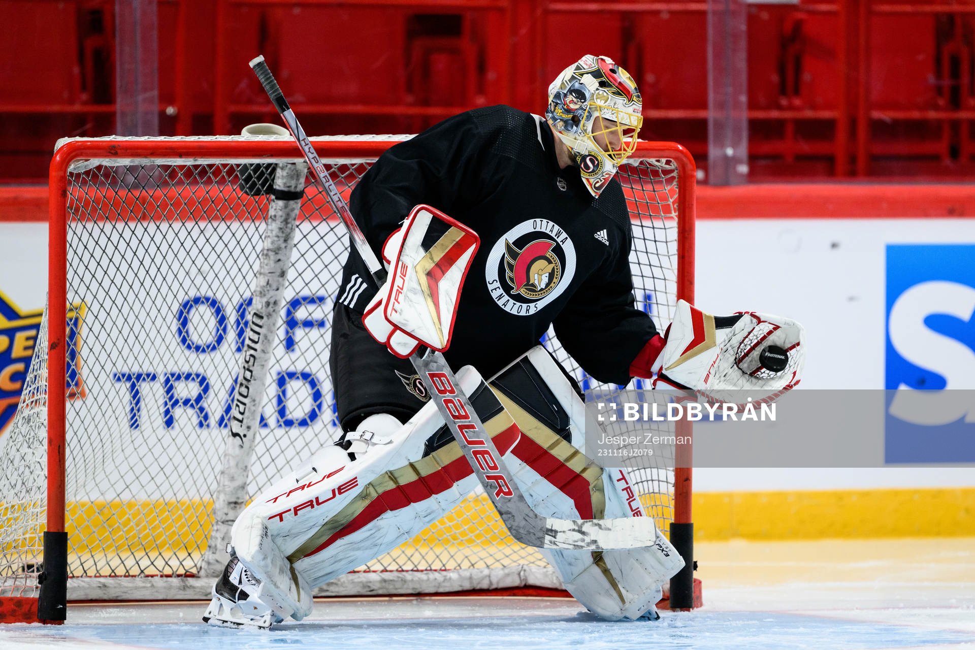 goalkeeper Anton Forsberg of Ottawa Senators