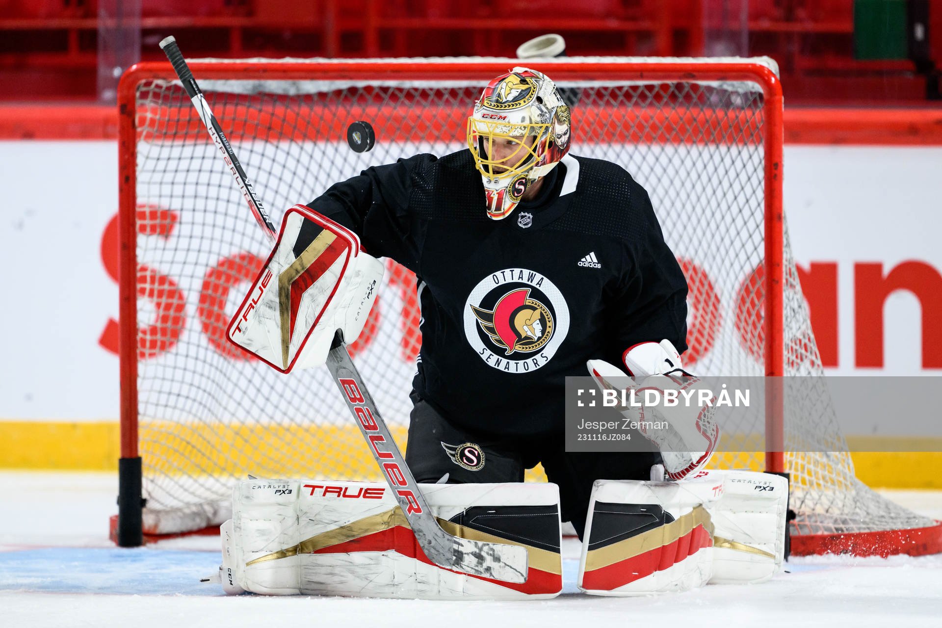 goalkeeper Anton Forsberg of Ottawa Senators
