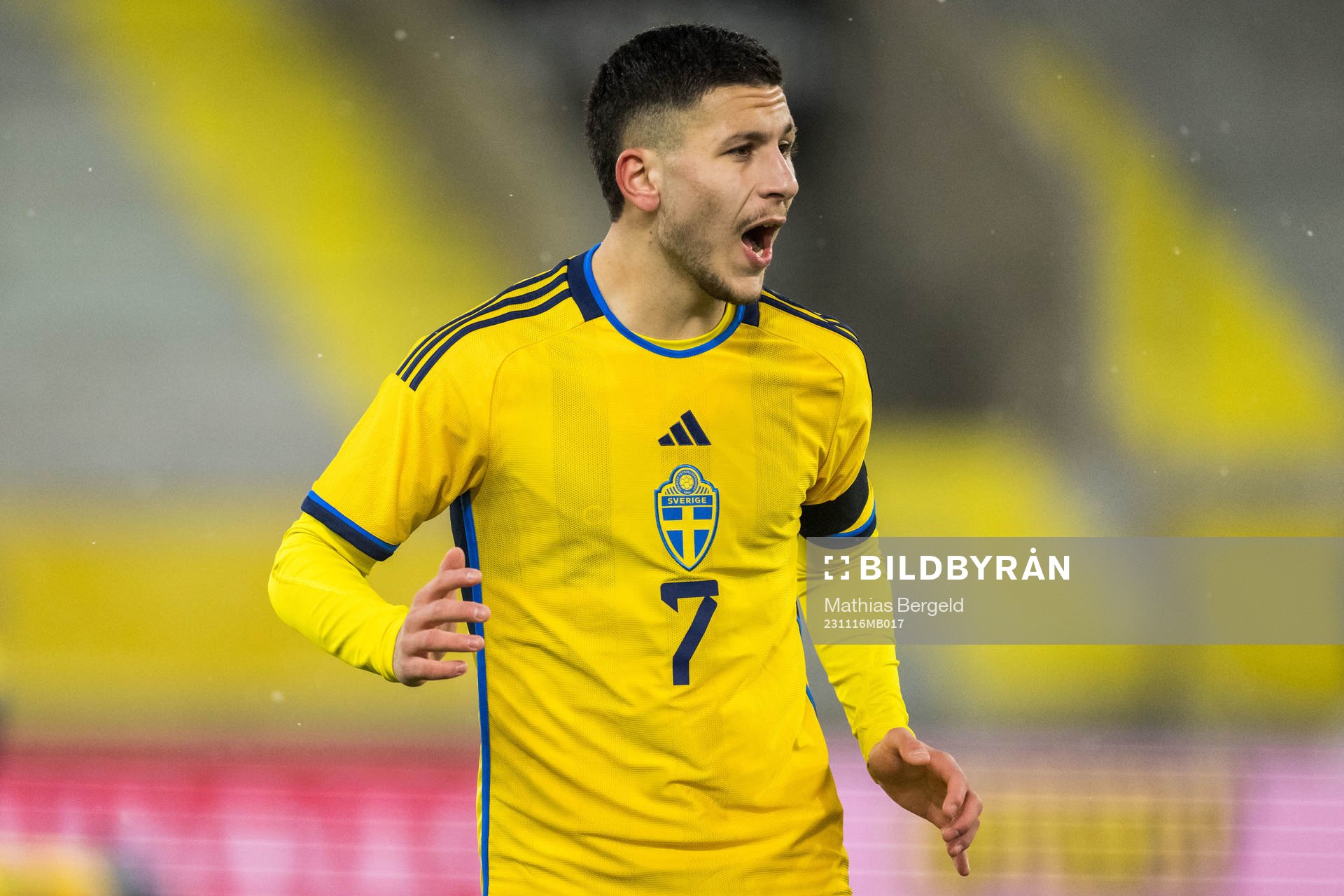 Roony Bardghji of Sweden