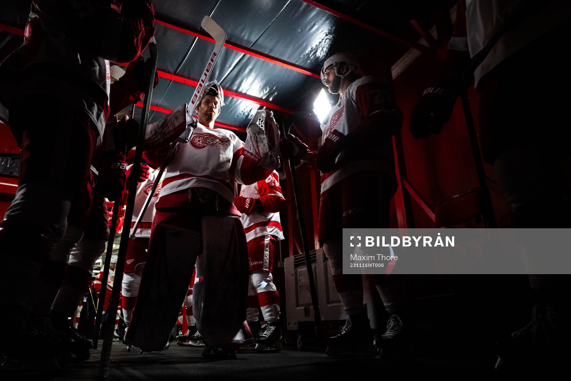Goaltender James Reimer of Detroit Red Wings