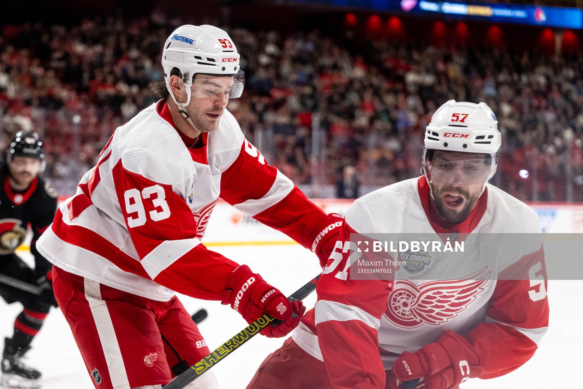 Alex DeBrincat and David Perron of Detroit Red Wings