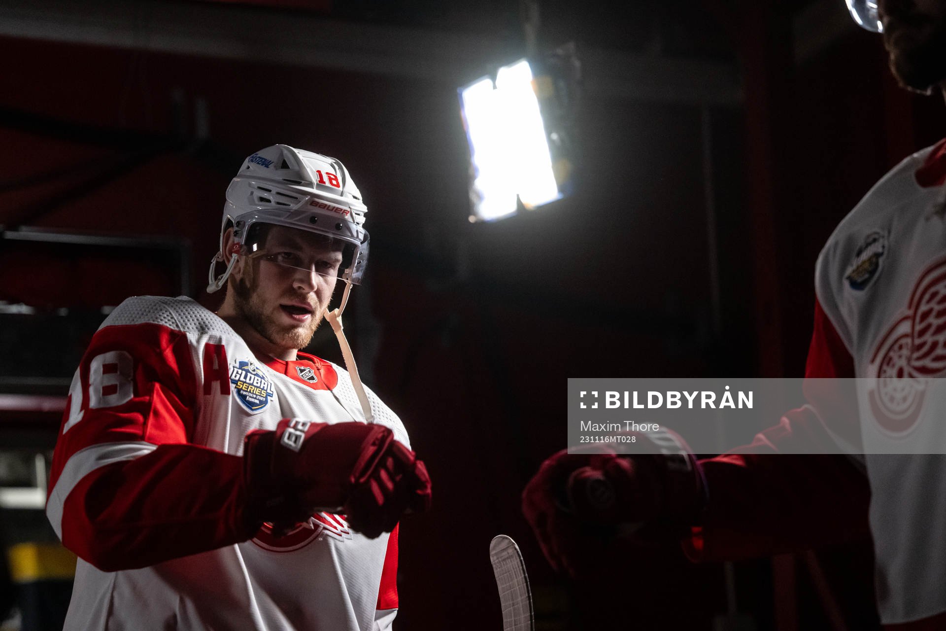 Andrew Copp of Detroit Red Wings