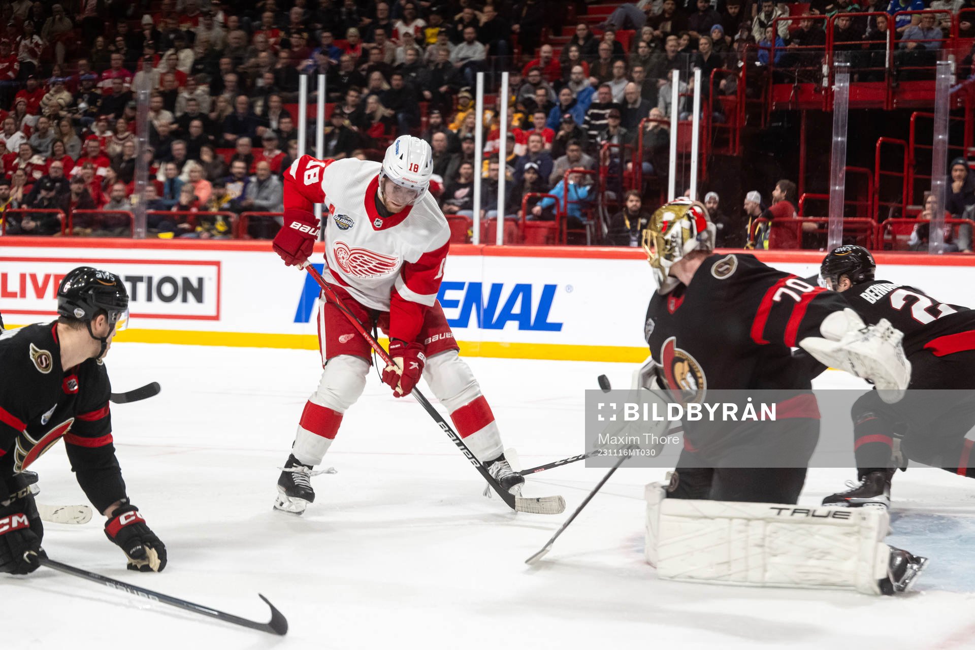 Andrew Copp of Detroit Red Wings