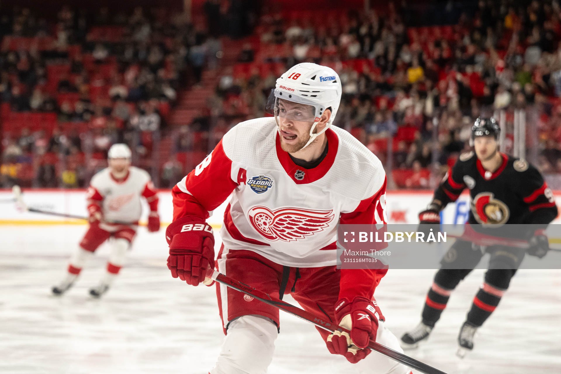 Andrew Copp of Detroit Red Wings