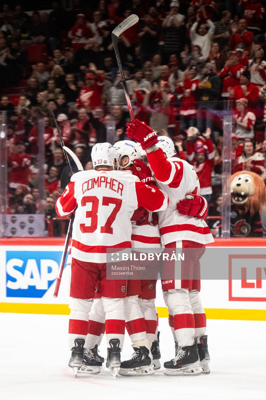 David Perron of Detroit Red Wings celebrates with team mates