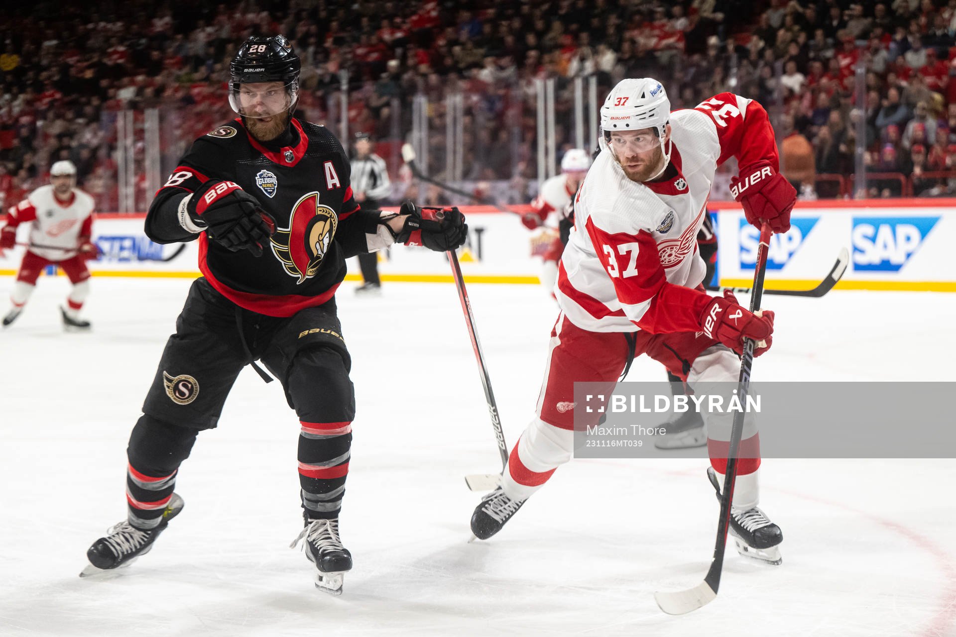 T Compher of Detroit Red Wings