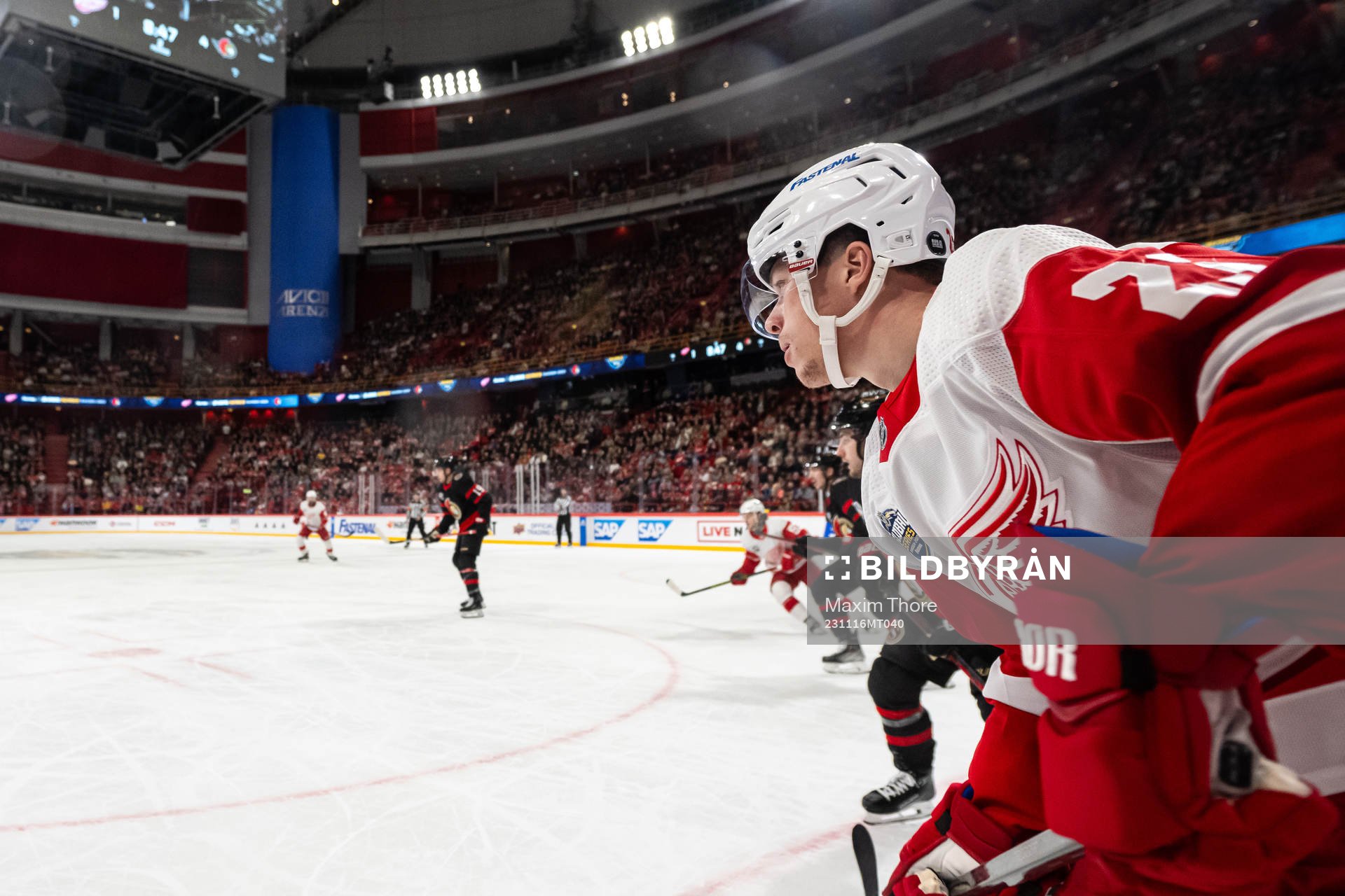 Lucas Raymond of Detroit Red Wings