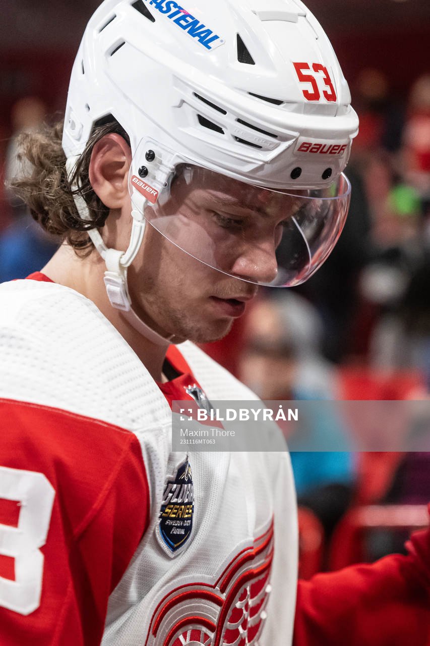 Moritz Seider of Detroit Red Wings looks dejected