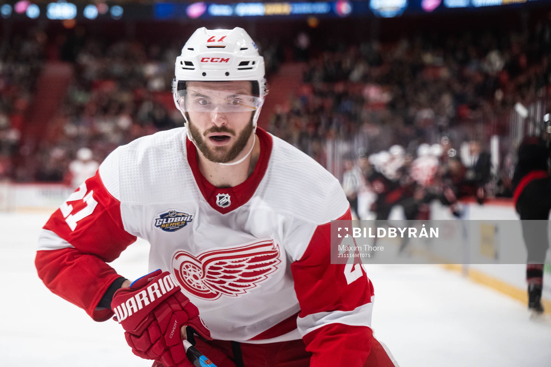 i231116 Austin Czarnik of Detroit Red Wings