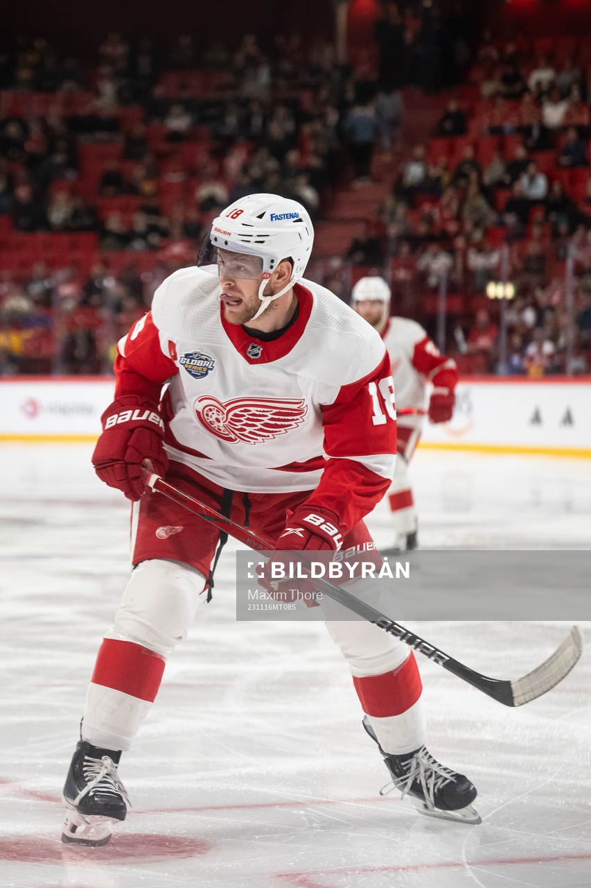 Andrew Copp of Detroit Red Wings