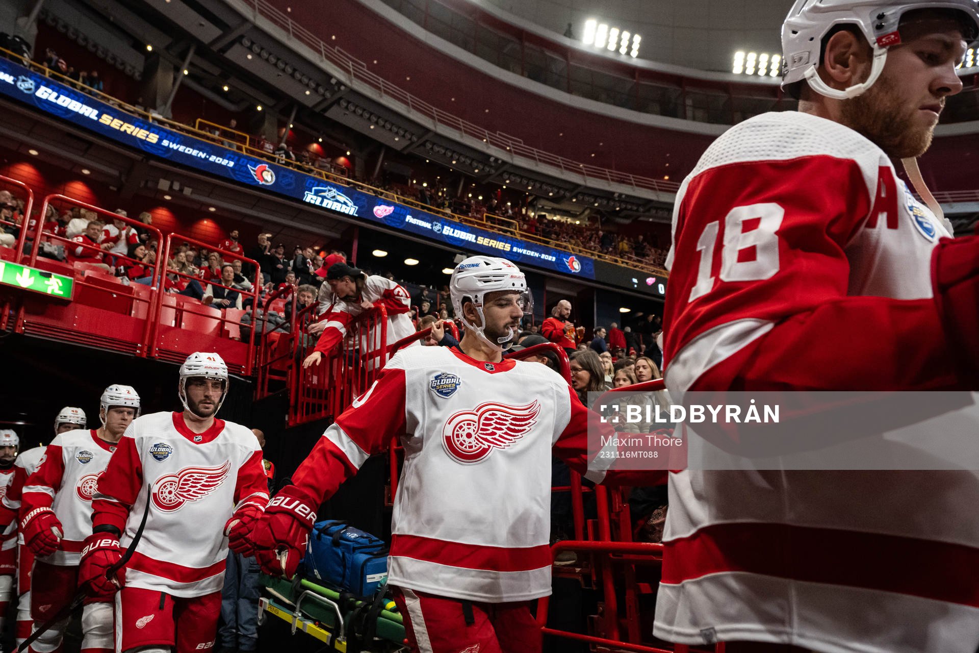 Joe Veleno of Detroit Red Wings