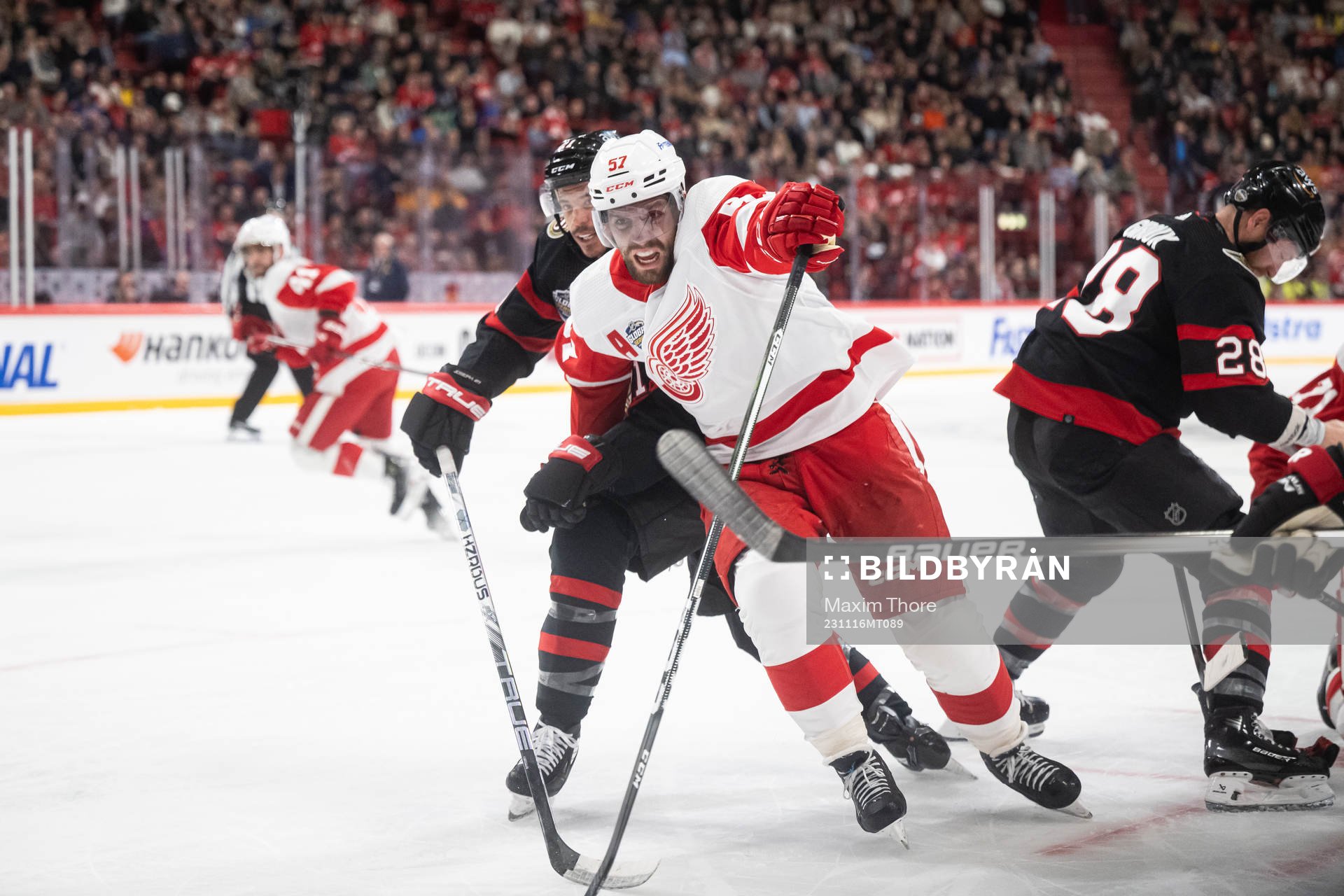 David Perron of Detroit Red Wings