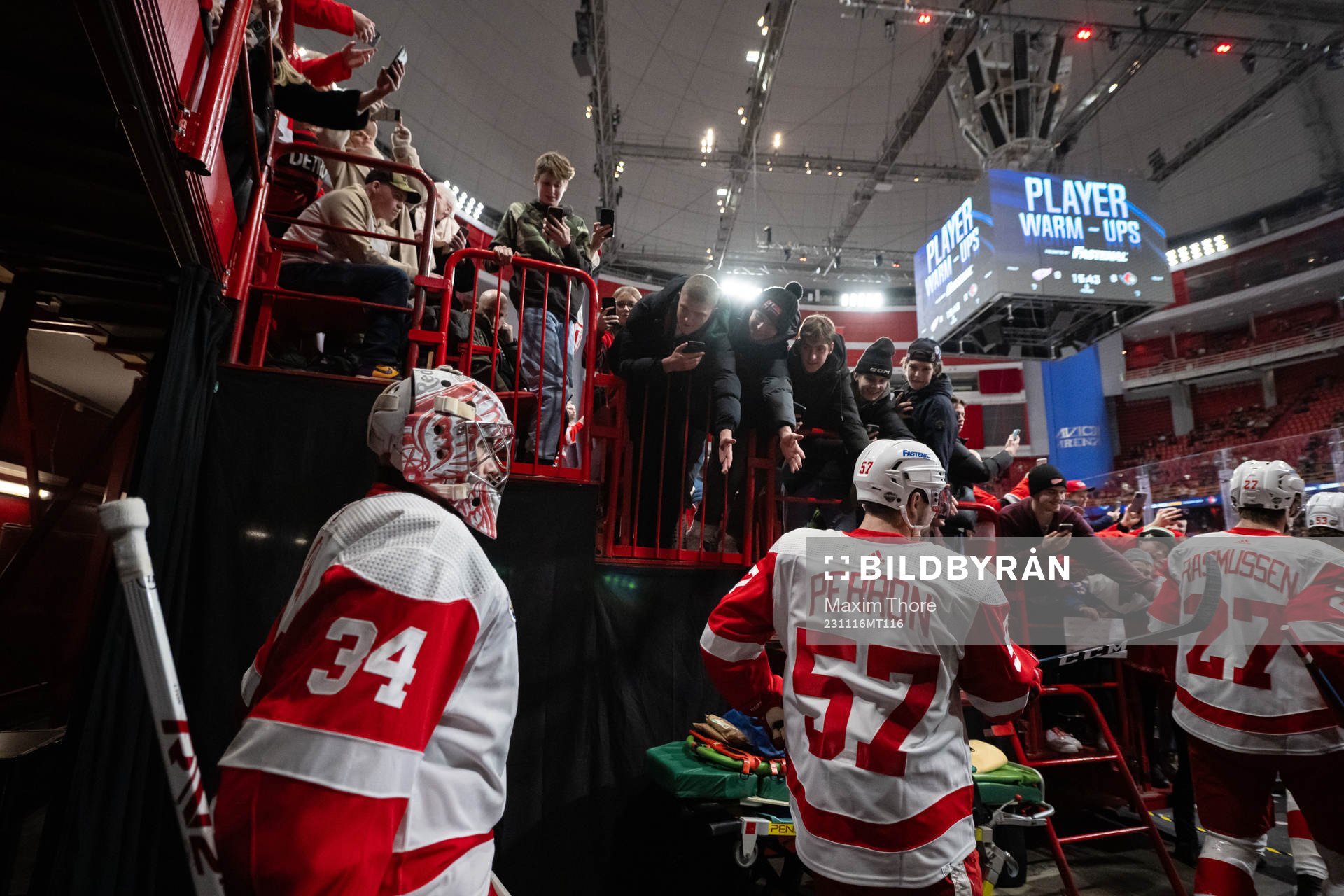 Goaltender Alex Lyon and David Perron of Detroit Red Wings