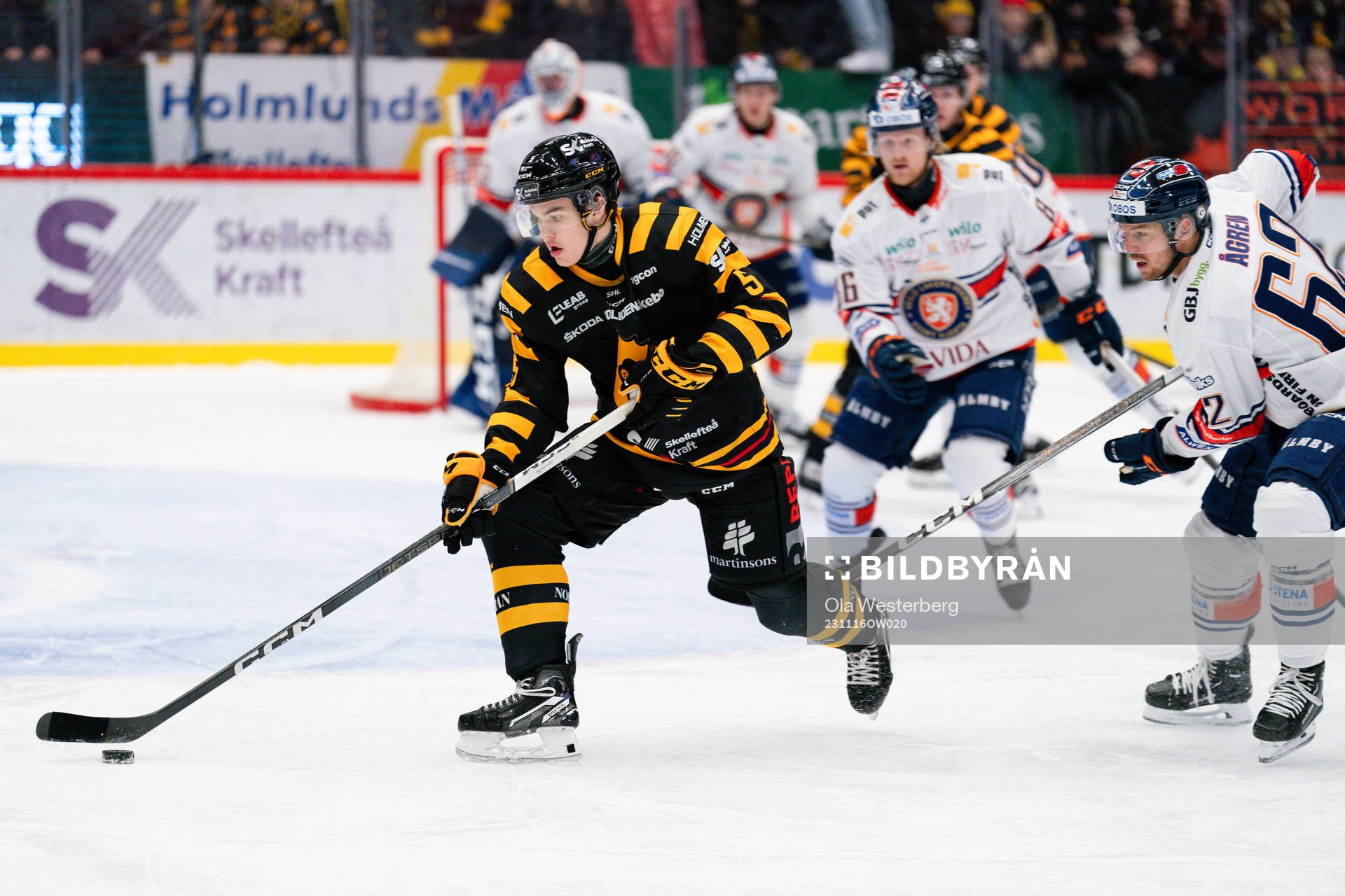 Skellefteås Axel Sandin Pellikka