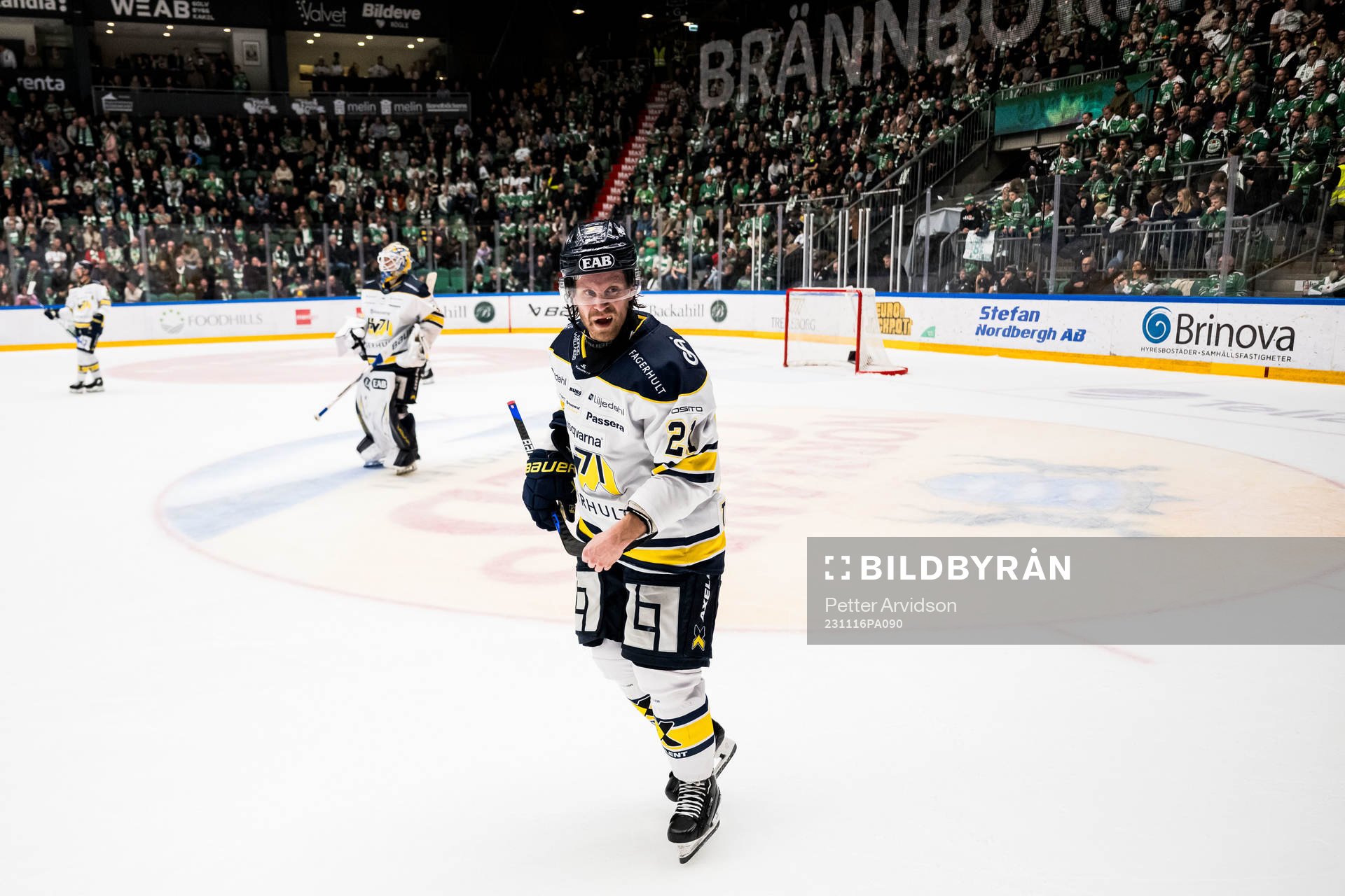 HV71s Mattias Tedenby deppar
