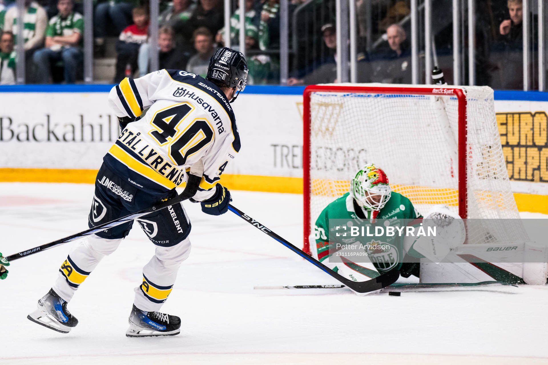 HV71s Oskar Stål-Lyrenäs och Rögles målvakt Petr Kvaca